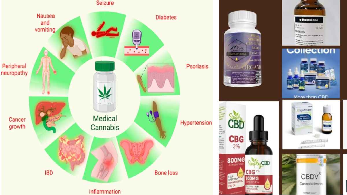 bhang, cannabis, भांग, रसायन