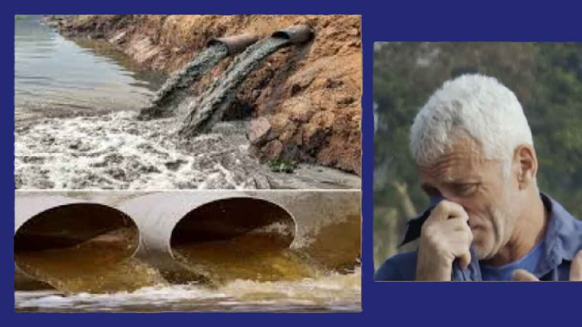 गंगाजल की गुणवत्ता और अंतरराष्ट्रीय चेतावनी