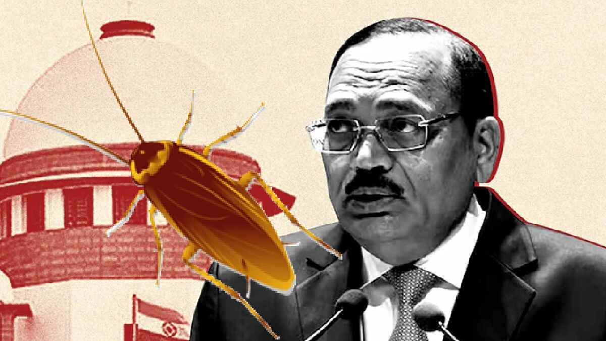 justice surya kant, cji, cockroach